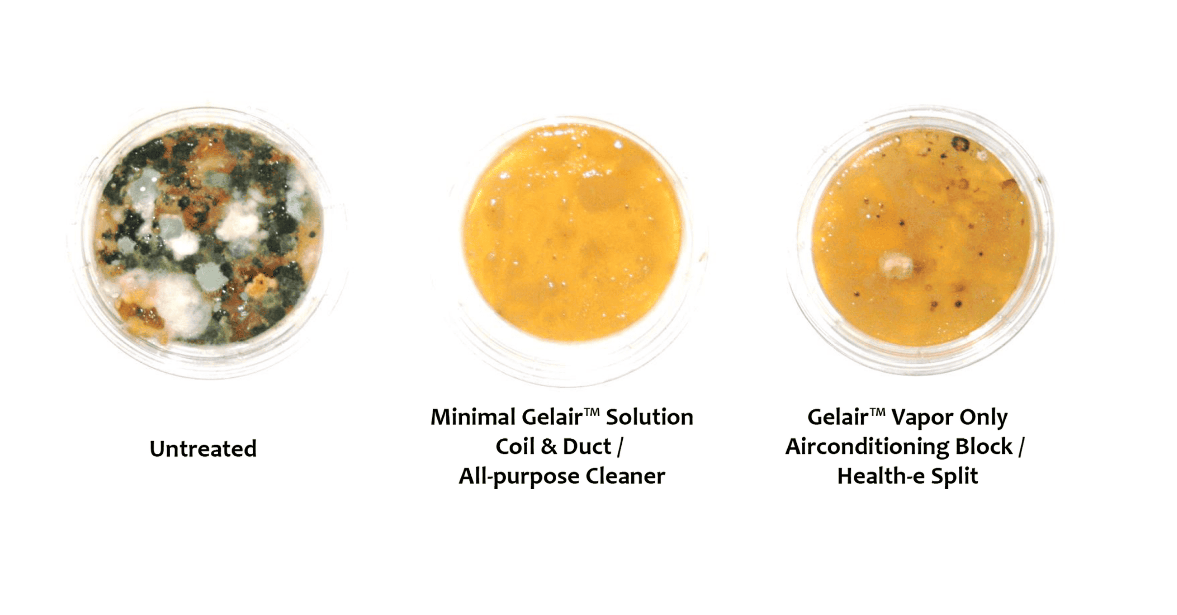  Isn't it amazing how powerful Gelair is? Read on to find out more!