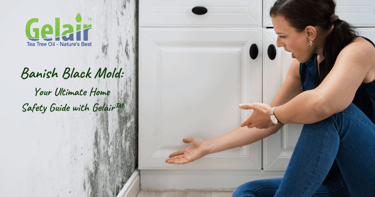 Banish Black Mold: Your Ultimate Safety Guide with Gelair
